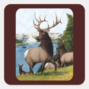 Elch Wapiti Quadratischer Aufkleber