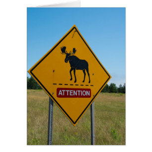 Elch-Warnschild