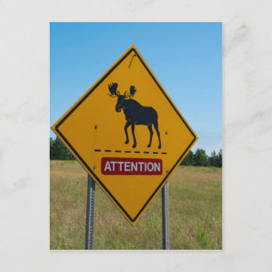 Elch-Warnschild Postkarte