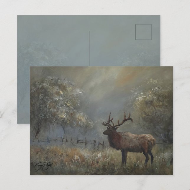 Elch-Wiesen-Postkarte Postkarte (Vorne/Hinten)