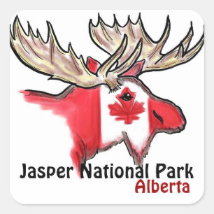 Elchaufkleber Jaspis-Nationalpark-Albertas Kanada Quadratischer Aufkleber