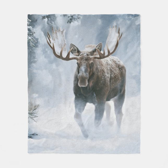 Elchbulle beim Durchqueren von borealem Schnee Fleecedecke (Vorderseite)