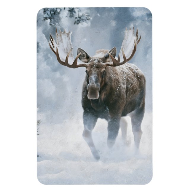 Elchbulle beim Durchqueren von borealem Schnee Magnet (Vertikal)