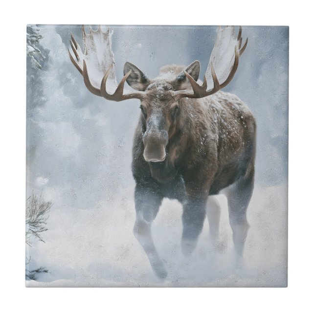 Elchbulle durchquert borealen Schnee Fliese (Vorderseite)