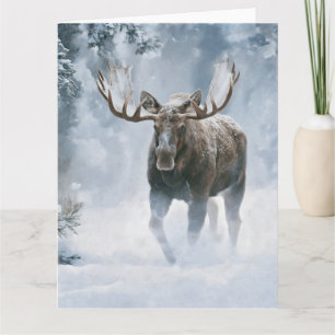 Elchbulle durchquert borealen Schnee Karte
