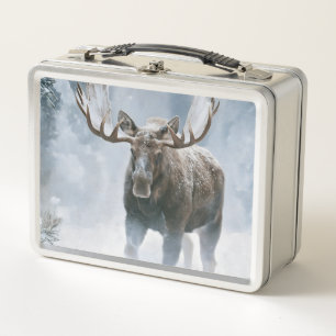 Elchbulle durchquert borealen Schnee Metall Brotdose
