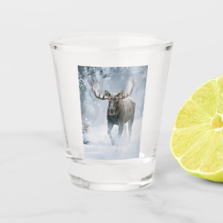Elchbulle durchquert borealen Schnee Schnapsglas