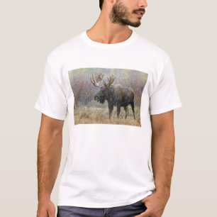 Elchbulle im Schneesturm mit Espen T-Shirt