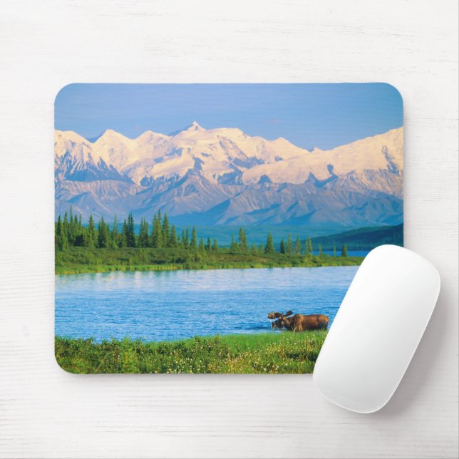 Elchbulle im Wonder Lake Mousepad (Mit Mouse)