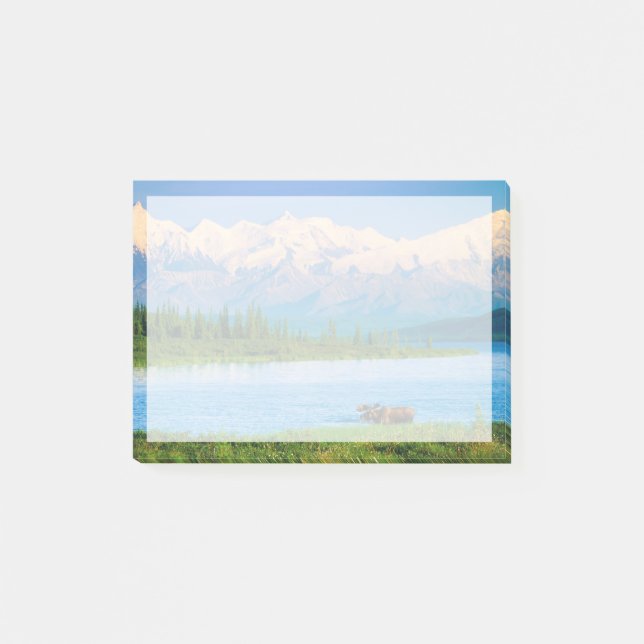 Elchbulle im Wonder Lake Post-it Klebezettel (Vorderseite)