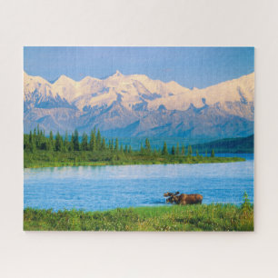 Elchbulle im Wonder Lake Puzzle