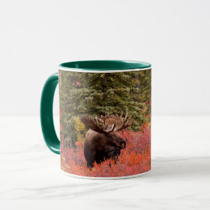 Elchbulle Steht In Roter Zwergbirke Tasse