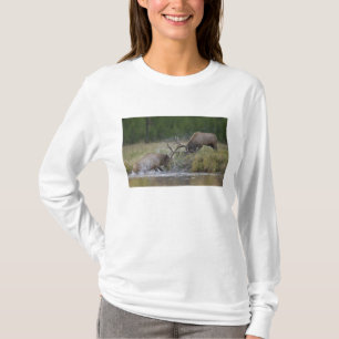 Elchbullen kämpfen, Yellowstone NP, Wyoming T-Shirt