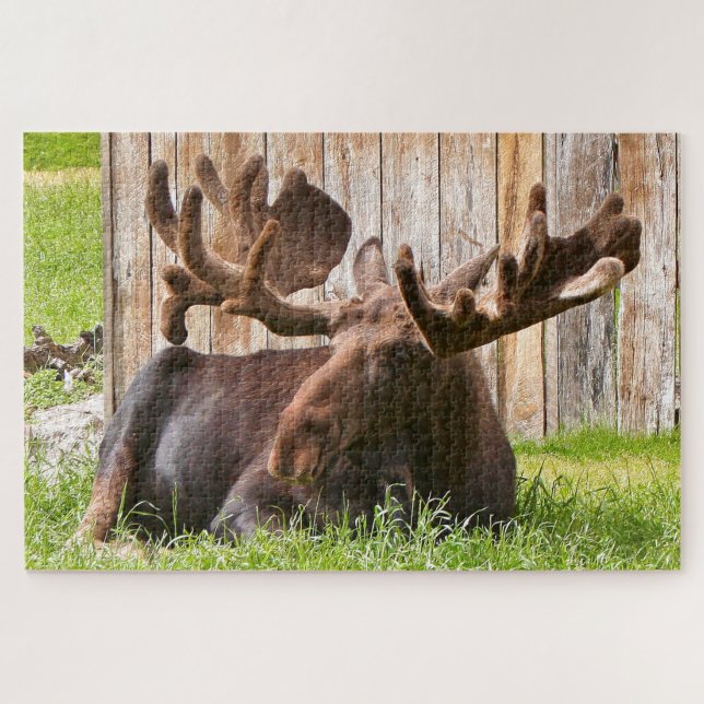Elche Alaskan entspannend Puzzle (Horizontal)
