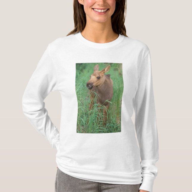 Elche, Alces Alces, Jungkalb T-Shirt (Vorderseite)