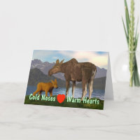 Elche auf der Wiese