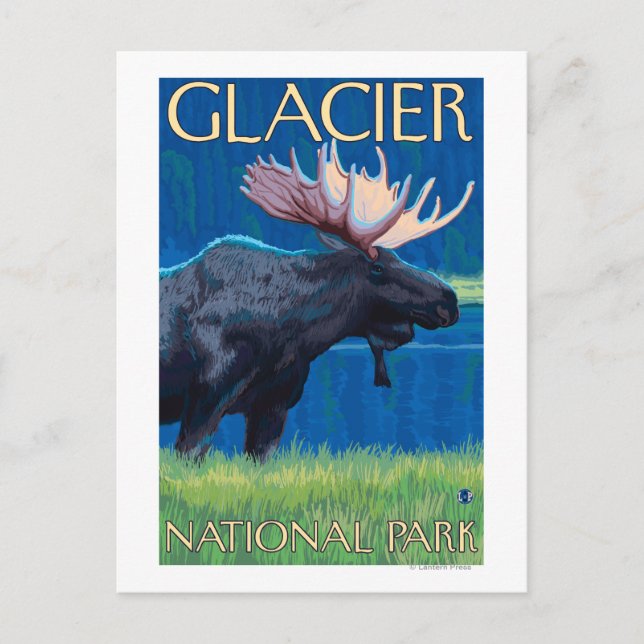 Elche bei Nacht - Glacier National Park, MT Postkarte (Vorderseite)