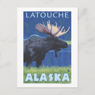 Elche bei Nacht - Latouche, Alaska Postkarte