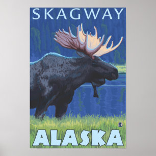 Elche bei Nacht - Skagway, Alaska Poster