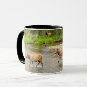 Elche beim Überqueren des Colorado River Tasse