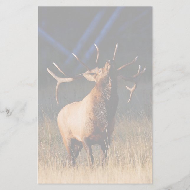 Elche Briefpapier (Vorderseite)