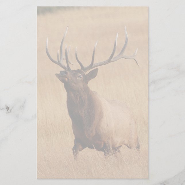 Elche Briefpapier (Vorderseite)