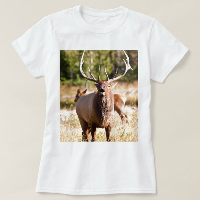 Elche Bugling T-Shirt (Design vorne)