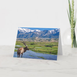 Elche Colorados Rocky Mountains Karte