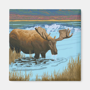 Elche, die in See - Yellowstone Staatsangehöriger Magnet
