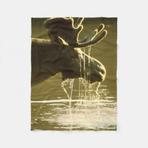 Elche, die seinen Kopf in Wasser eintauchen Fleecedecke