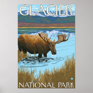 Elche Drinks am See - Glacier National Park, Poster