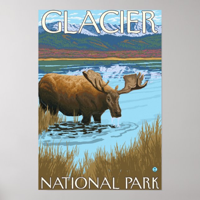 Elche Drinks am See - Glacier National Park, Poster (Vorne)