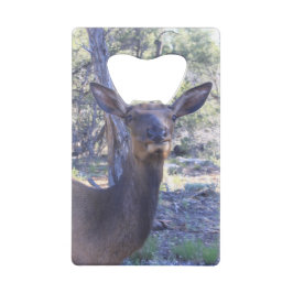 Elche Flasche Öffnung Geldbeutel Flaschenöffner