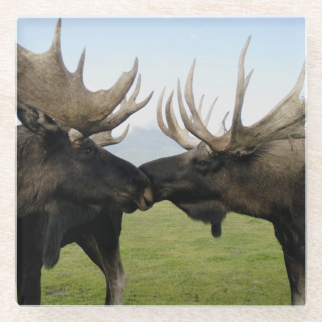 Elche Glasuntersetzer (Vorderseite)