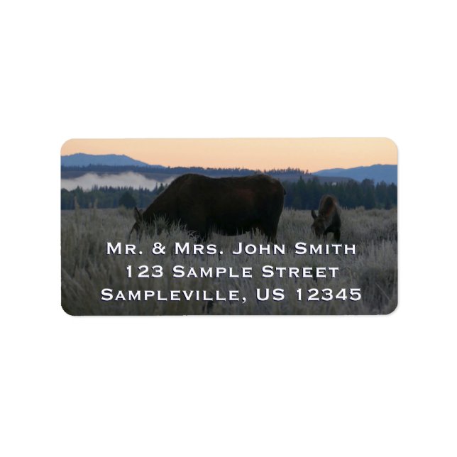 Elche Grazing at Sunrise at Grand Teton Adressaufkleber (Vorne)