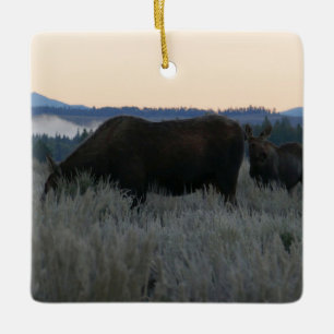 Elche Grazing at Sunrise at Grand Teton Keramikornament