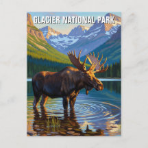 Elche im Glacier National Park Travel