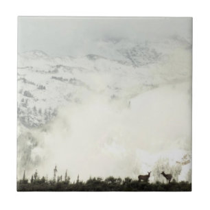Elche im Grand Teton National Park Fotografie Fliese