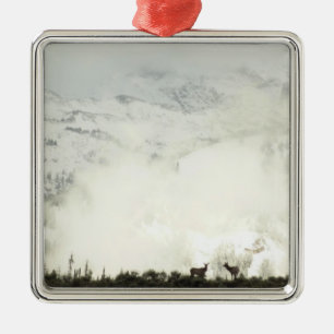 Elche im Grand Teton National Park Fotografie Silbernes Ornament