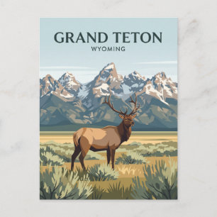 Elche im Grand Teton National Park Wyoming Postkarte