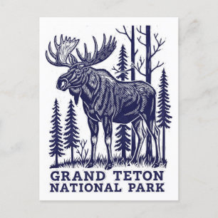 Elche im Grand Teton Nationalpark Postkarte