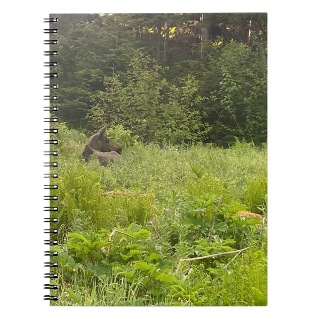 Elche im Grass-Notebook Notizblock (Vorderseite)