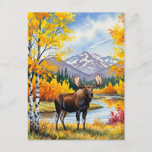 Elche in Denali-Nationalpark Alaska Vintage Postkarte
