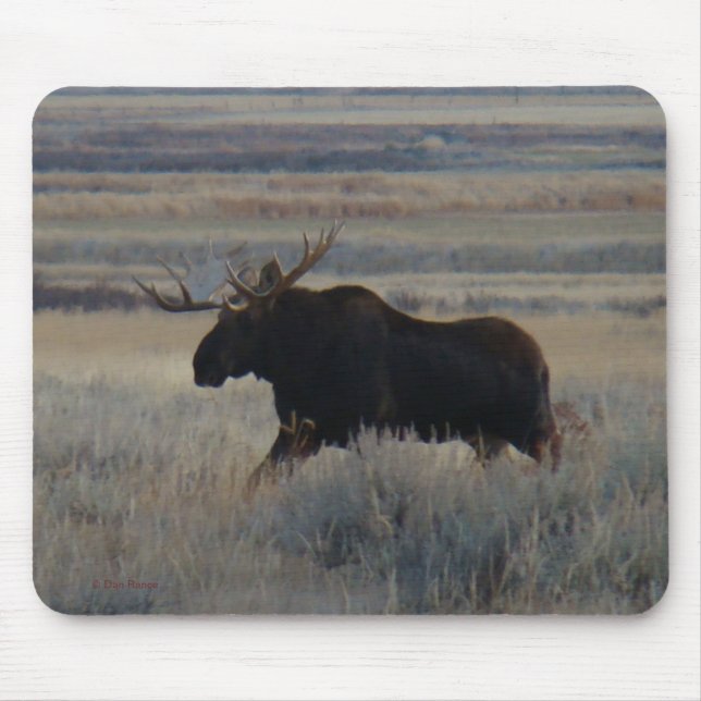 Elche M2 Stier Mousepad (Vorne)