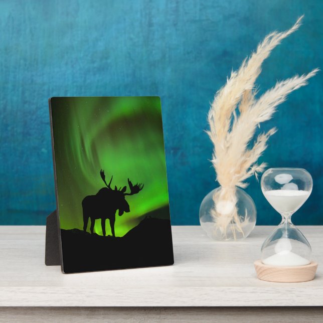 Elche mit grüner Aurora Borealis, Alaska Fotoplatte (Seite)
