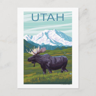 Elche mit MountainUtah Postkarte