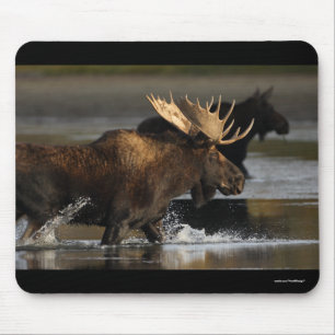 Elche Mousepad