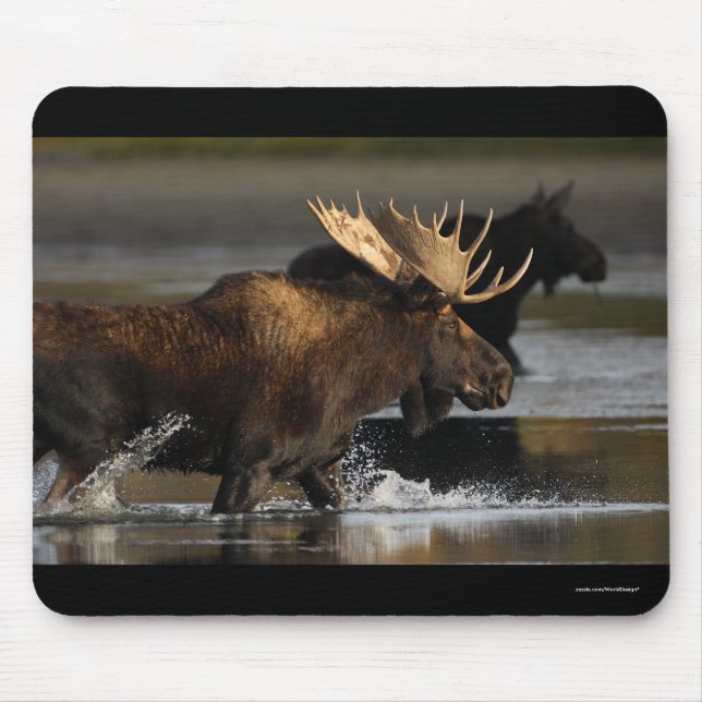 Elche Mousepad (Vorne)