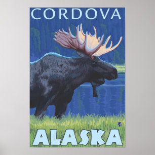 Elche nachts - Cordova, Alaska Poster