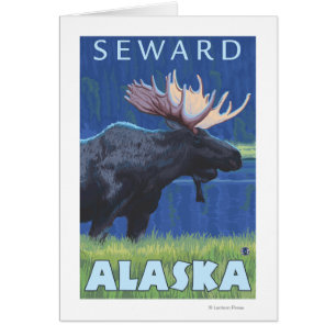 Elche nachts - Seward, Alaska